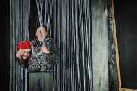 Shakespeare komplett – stark verdichtet