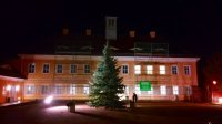 Der Weihnachtsbaum im Ambiente des Jagdschlosses