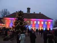 Beleuchteter Weihnachtsbaum im Schlosspark