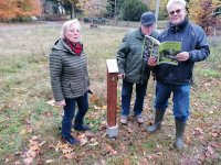 Pflanzung Baum des Jahres 2024 in Graupa