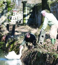 Einfangen im Schlossteich